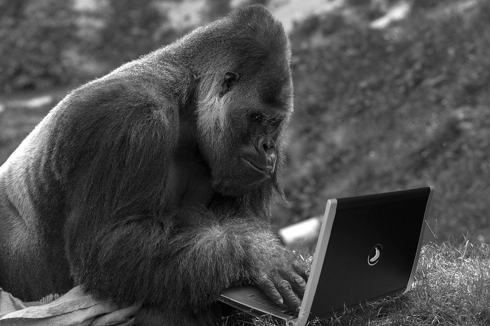 nordvpn abc